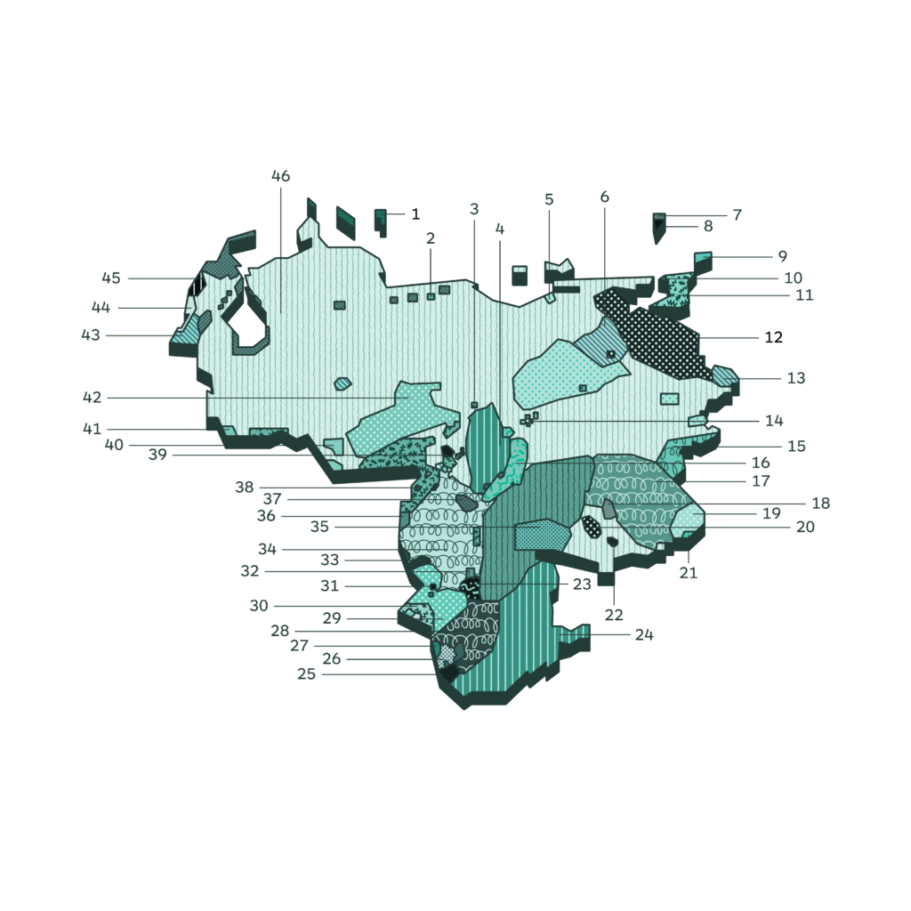 Native language deals of venezuela